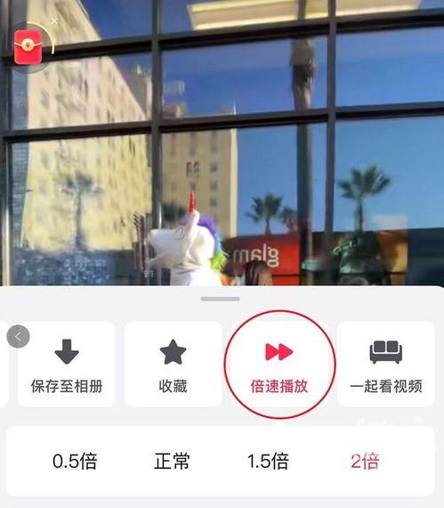 视频两倍速,视频内容精华两倍速速览