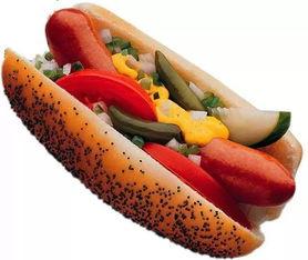 蒸热狗视频,蒸热狗的独特魅力与制作技巧