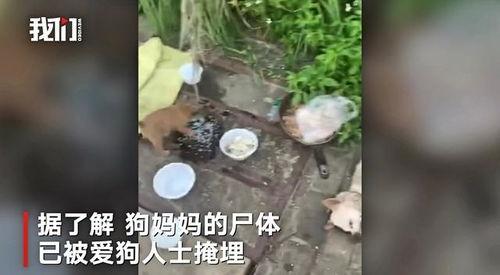 吸奶水视频,新手妈妈必看视频教程