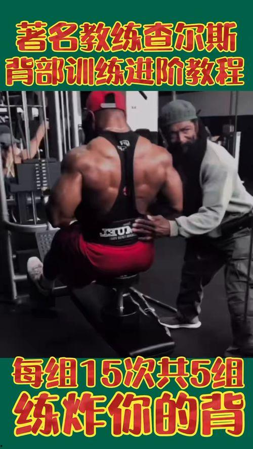 练背的视频,跟随视频轻松打造健美背部