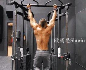 练背的视频,跟随视频轻松打造健美背部