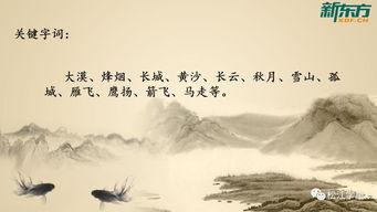 古诗词鉴赏视频,探寻古诗词中的文化瑰宝