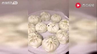 学做包子视频教程,轻松学会制作美味包子的秘诀